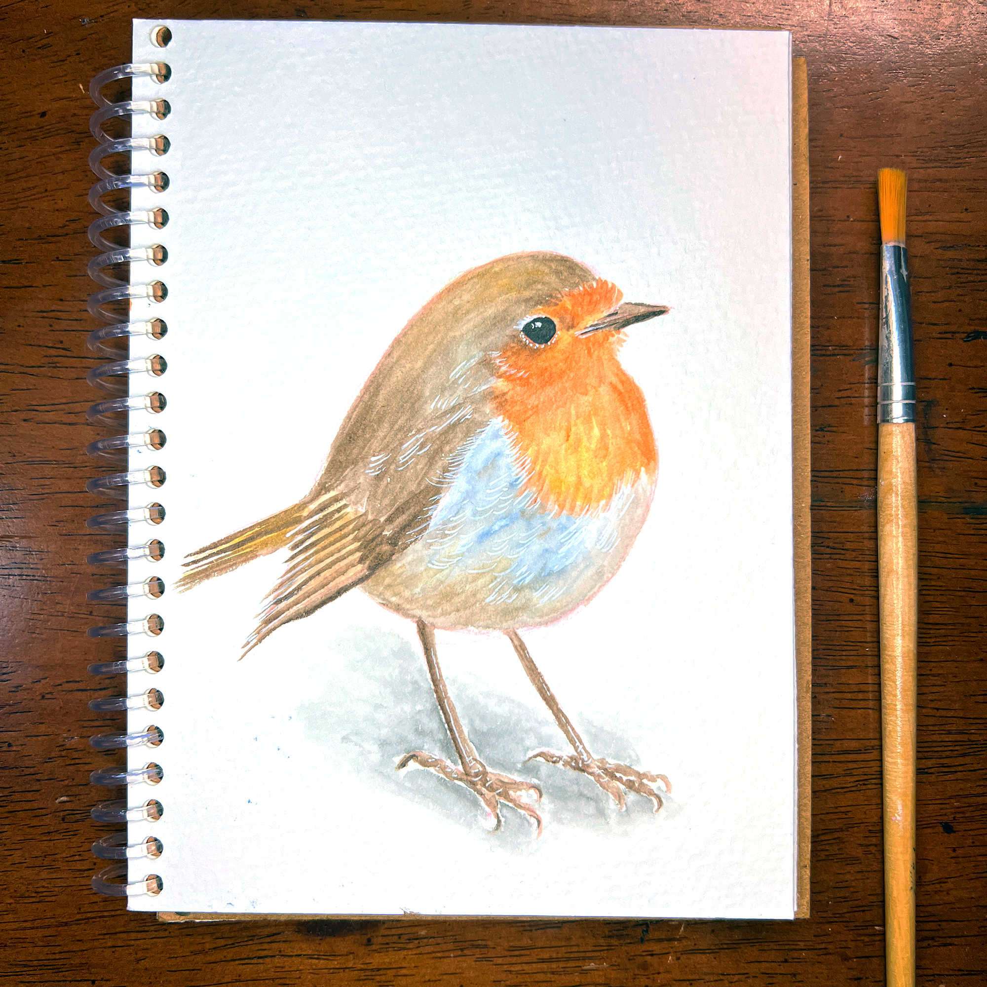 Namesake - An Original Watercolor newest Painting of a European Robin